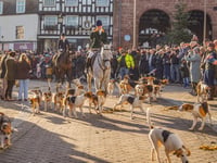 Ross Harriers' Boxing Day Drag Hunt draws thousands of supporters