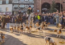Ross Harriers' Boxing Day Drag Hunt draws thousands of supporters