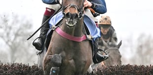 Djelo out of Festival as L'Homme Press bids for Classic Chase glory