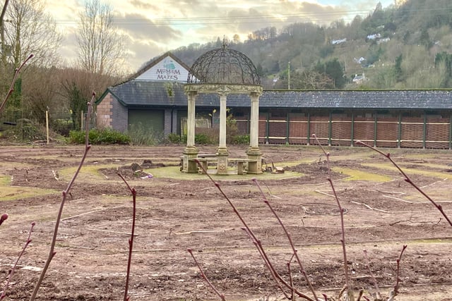 Hopes that hedge maze can be replanted in time for 50th anniversary  