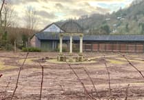 Hopes that hedge maze can be replanted in time for 50th anniversary