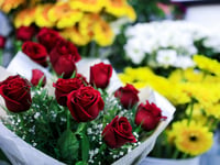 Tindle News launches 2026 Valentine’s multimedia packages