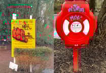 Police investigate as town plagued by graffiti taggers