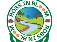 Free family craft sessions during half-term