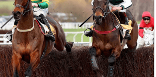 L'Homme Presse impresses again with close second in Cotswold Chase