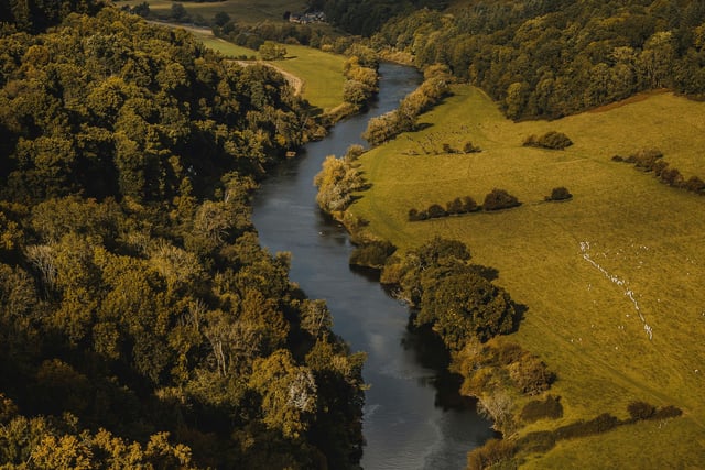 River Wye volunteers collect 50,000 pollution samples
