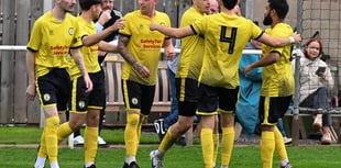 Four-some Daffs flower with highest points haul