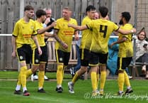 Four-some Daffs flower with highest points haul