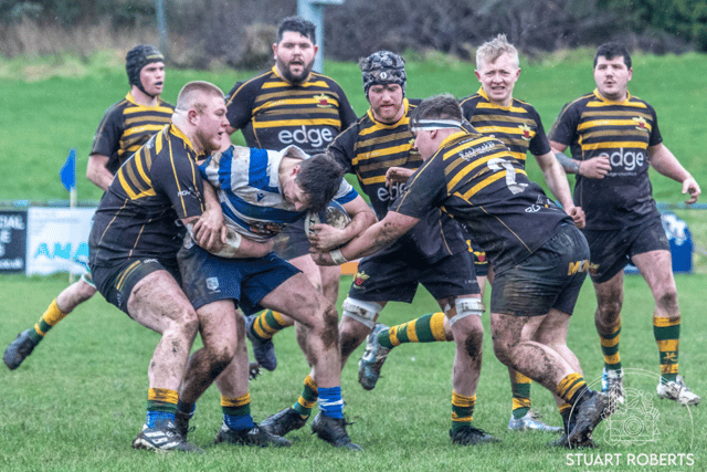 Phoenix rise and stride to solid win in Stroud 