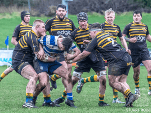 Phoenix rise and stride to solid win in Stroud 