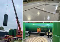 Walford Timber invests in advanced plant upgrade