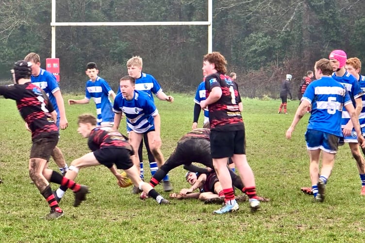 Ross look to repulse a Cirencester attack