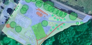 Plans unveiled for Ross skate park redevelopment