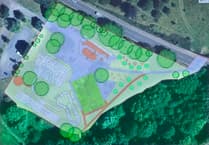 Plans unveiled for Ross skate park redevelopment