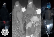 Masked red-glove wearing gang hunted by police