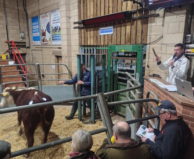 Livestock auction sees high demand for quality cattle and hoggs