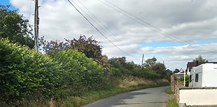 Two new bungalows proposed for Glewstone 