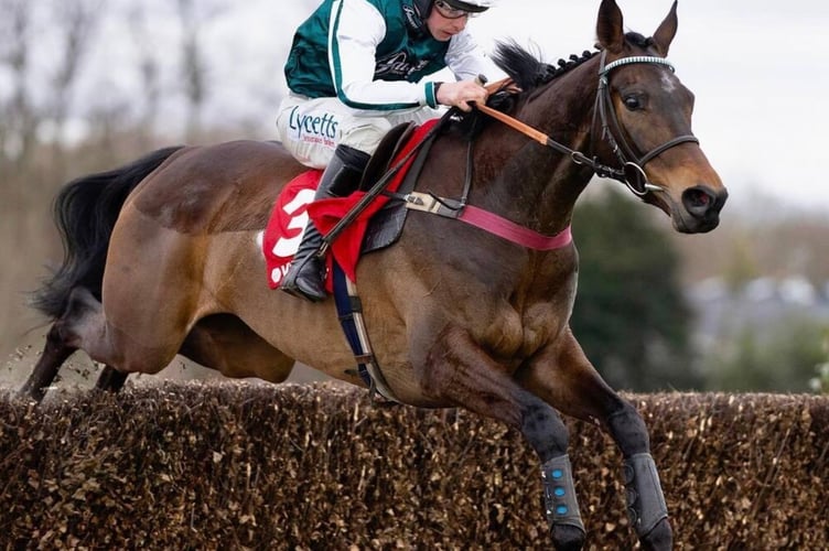 L'Homme Presse took second in the Denman Chase at Newbury