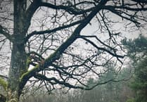 New hub for mountain bikers launched