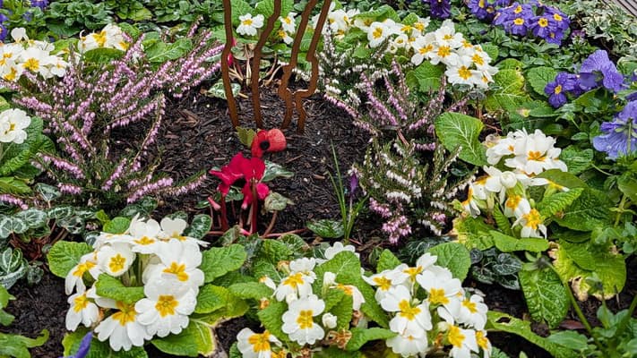 Royal British Legion secures funds for memorial planter upkeep