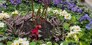 Royal British Legion secures funds for memorial planter upkeep