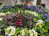 Royal British Legion secures funds for memorial planter upkeep