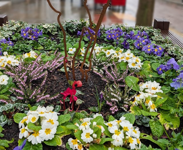 Royal British Legion secures funds for memorial planter upkeep