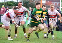 Green Army bounce back to their best to beat the Boars