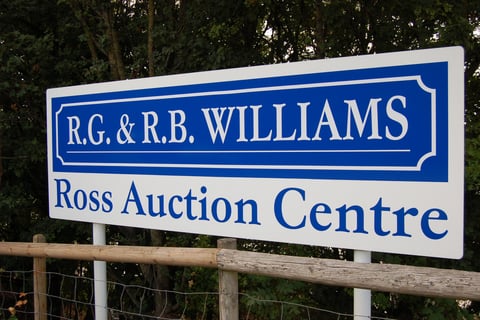 Livestock auction sees strong trade for cattle and lambs