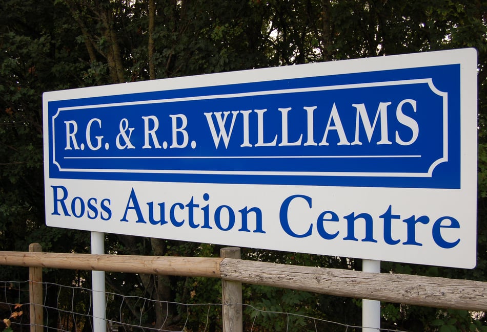 Cattle remained keenly sought after by retail buyers