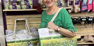 Sue's art collection debuts at town's Scope store