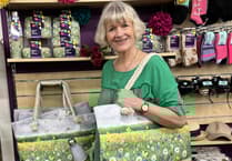 Sue's art collection debuts at town's Scope store