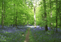 Commoners’ Association demands UNESCO bid pause