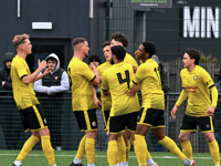 Newent's narrow cup final defeat