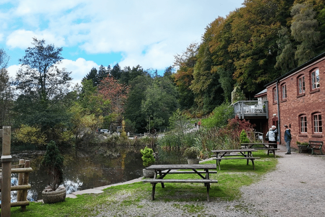 Dean Heritage Centre wants Christmas stalls