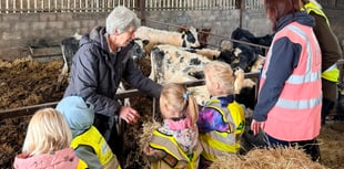 Goodrich pupils enjoy hands-on farm adventure at Lewstone