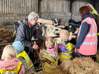 Goodrich pupils enjoy hands-on farm adventure at Lewstone