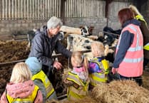 Goodrich pupils enjoy hands-on farm adventure at Lewstone