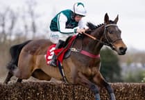 L'Homme Presse Grand National blow as Royale Pagaille retires