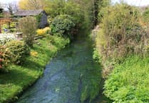 EA declares sewage plant overflow into Wye tributary brook 'illegal'
