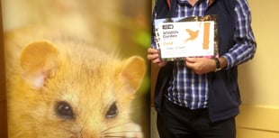 Join the Big British Garden Survey to boost wildlife diversity