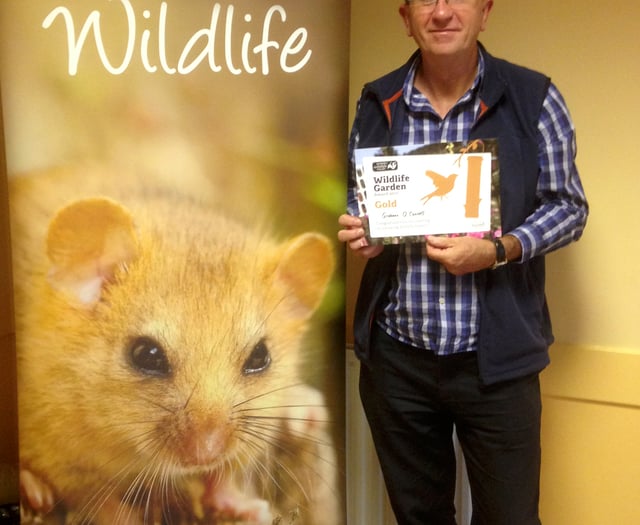 Join the Big British Garden Survey to boost wildlife diversity