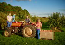 Celebrate Cider: Blossomtime 2026 unveils new events