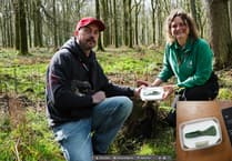 Ancient axehead is
discovered on walk