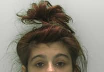 Appeal to find woman accused of stealing toys from shop