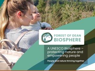 Forest UNESCO biosphere bid gets underway