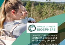 Forest UNESCO biosphere bid gets underway