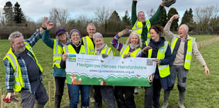 Hedgerow Heroes close to goal of planting 100 miles of hedges