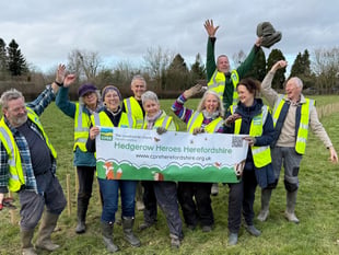 Hedgerow Heroes close to goal of planting 100 miles of hedges