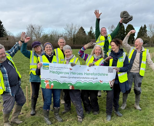 Hedgerow Heroes close to goal of planting 100 miles of hedges